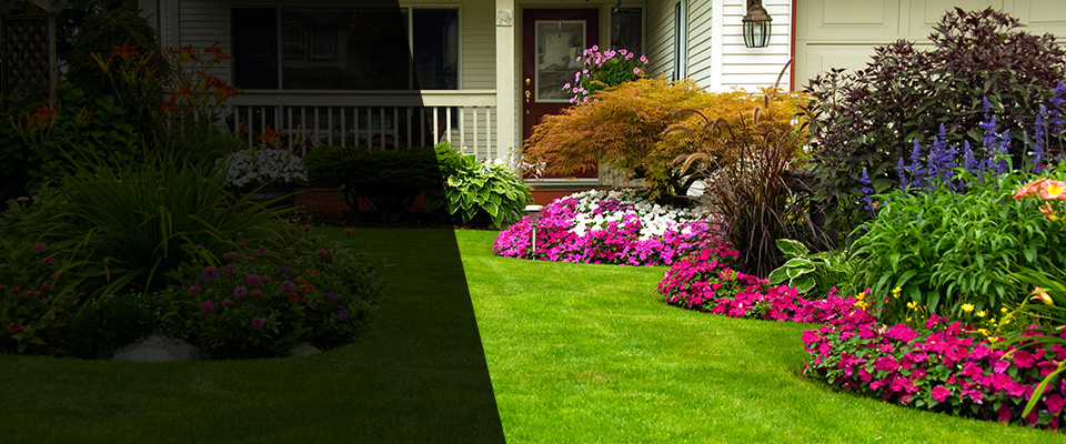 Piney Flats Landscapers