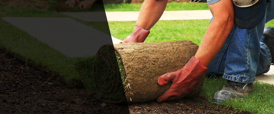 Piney Flats Landscapers